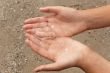 Jellyfish in hands