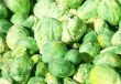 Brussel sprouts 
