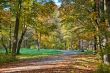 Walk in the park
