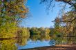 Beautiful pond
