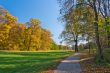Walk in the park