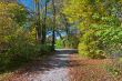 Walk in the park