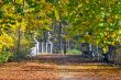 Walk in the park