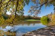 Beautiful pond