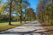 Walk in the park