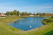 Beautiful pond