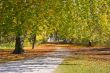 Walk in the park