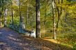 Walk in the park