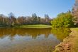 Beautiful pond
