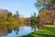 Beautiful pond