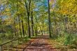 Walk in the park