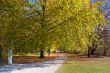 Walk in the park