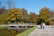 Bridge in the park