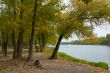 Autumn park