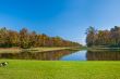 Beautiful pond