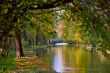 Beautiful pond