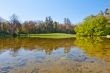 Beautiful pond