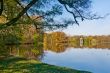 Beautiful pond