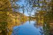 Beautiful pond