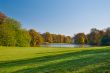Meadow and pond
