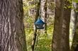 Trough on the tree