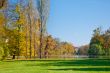 Pond and meadow