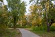 Autumn park