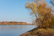 Autumn landscape