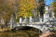Bridge in the park