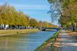 Walk in the park