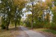 Autumn park