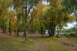 Autumn park