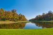 Beautiful pond