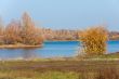 Golden autumn