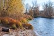 River bank