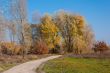 autumn park