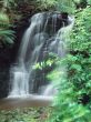 Horseshoe falls