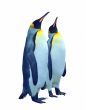 Isolated two emperor penguin with clipping path