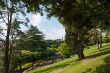 View at the Vatican Gardens