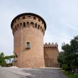 The tower