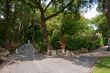 Walk in the Vatican Gardens