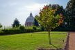 Vatican gardens