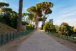 Walk in the park