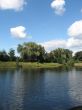 summer rural landscape with forest and river