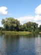 summer rural landscape with forest and river