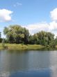 summer rural landscape with forest and river