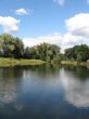 summer rural landscape with forest and river