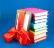Electronic book reader tied up with red ribbon