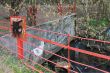 Pool in wood  fenced with a metal red fence.