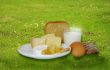 Breakfast foods on the grass